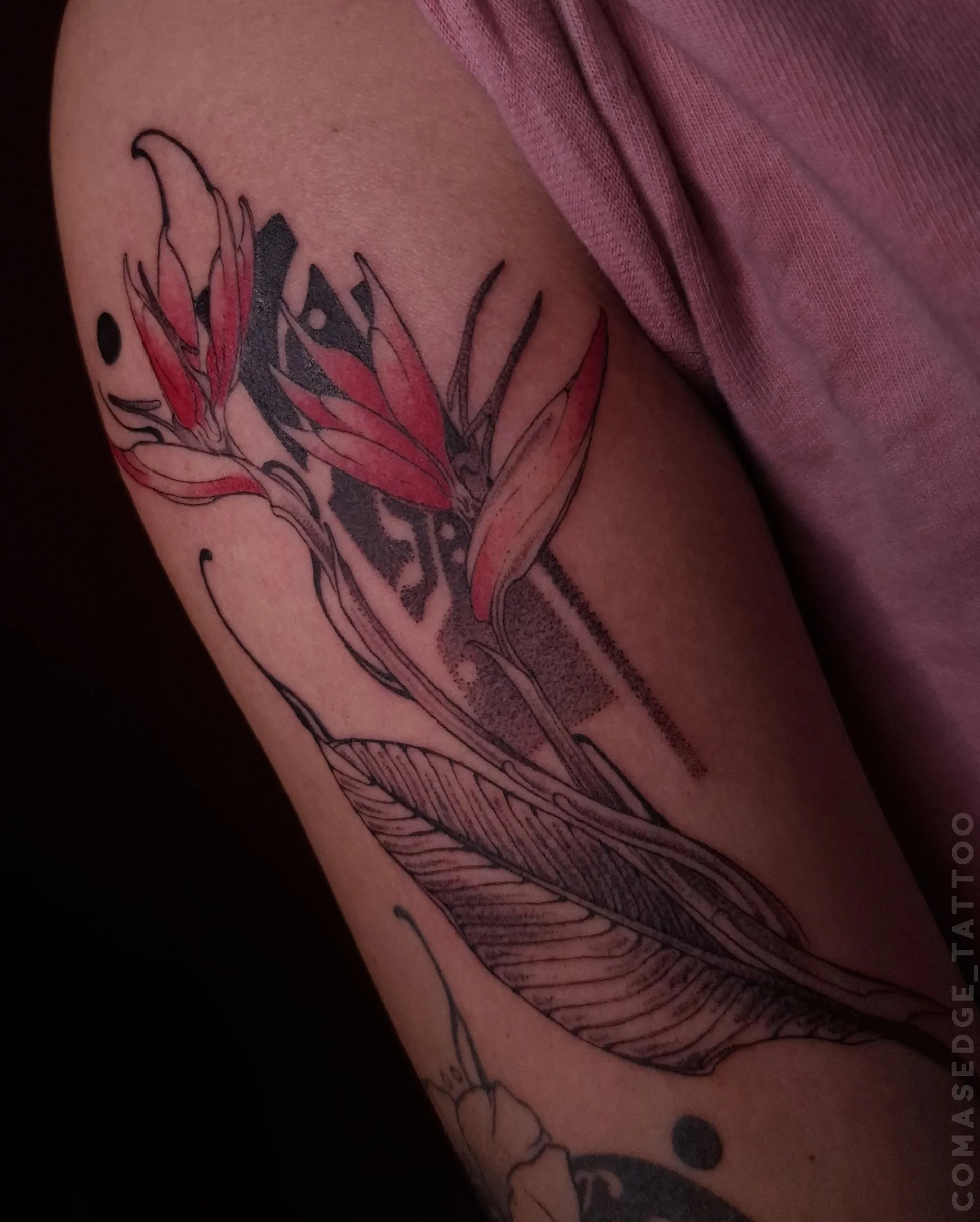 Tatouage botanique en noir et rouge d’une fleur d’oiseau de paradis avec une longue feuille, réalisé sur le triceps.