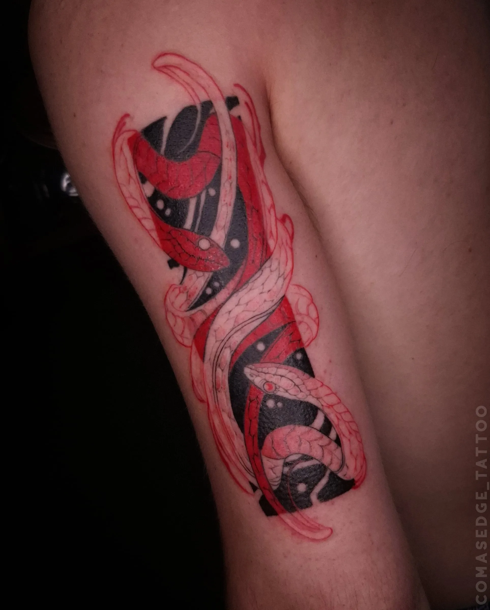 Tatouage de deux serpents blanc et rouge entrelacés sur une forme rectangulaire noire, réalisé au-dessus du coude.