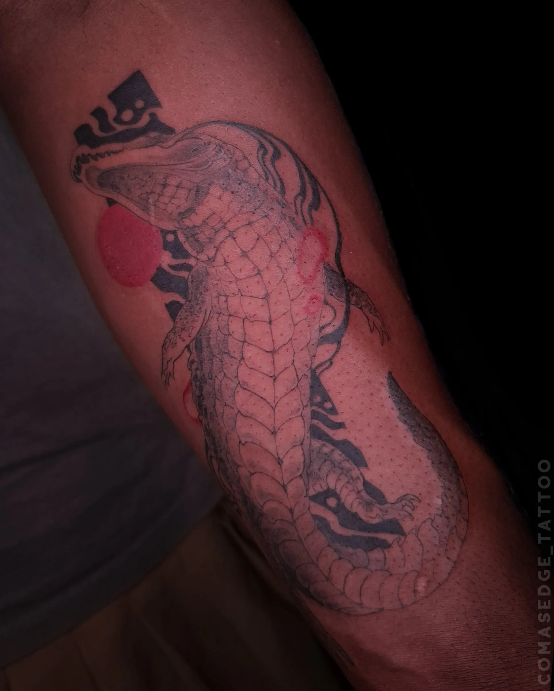 Tatouage d’un crocodile en noir et gris sur peau foncée, à l’intérieur du biceps, avec un fond noir graphique et un cercle rouge.